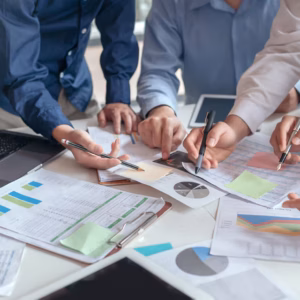 Plan de Negocios Profesional