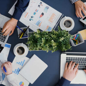 Curso en Línea: Estructura tu Negocio